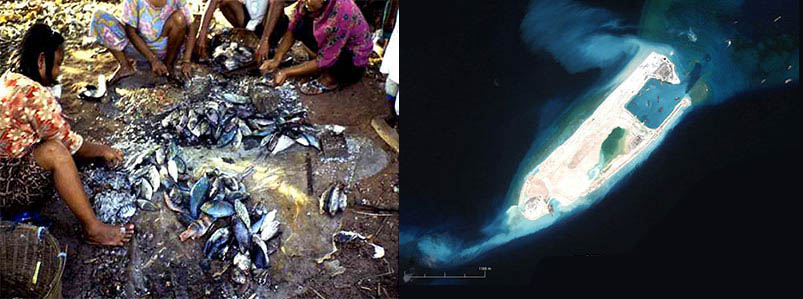 Peace through Conservation in the South China Sea