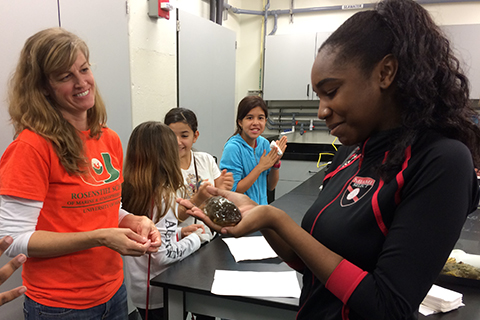 Toadfish lab